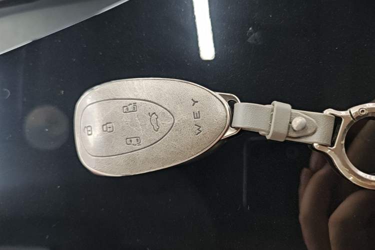 Used Wey Gaoshan 2023 Four-Wheel-Drive Executive Extended Version Vehicle Key