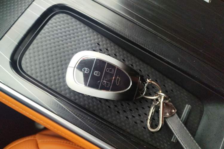 Used Wey Gaoshan 2023 Four-Wheel-Drive Executive Extended Version Vehicle Key