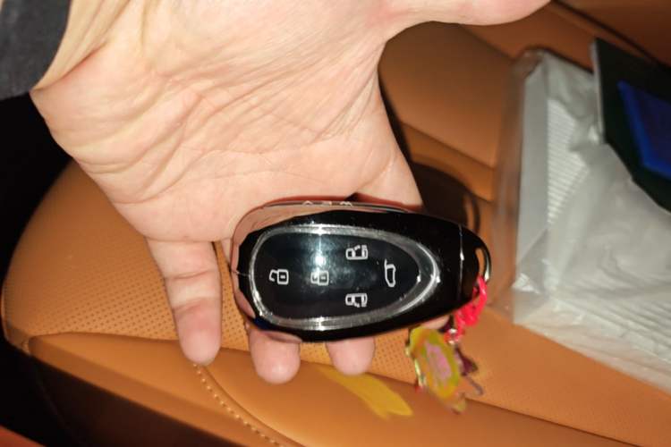 Used Wey Gaoshan 2023 Four-Wheel-Drive Executive Extended Version Vehicle Key
