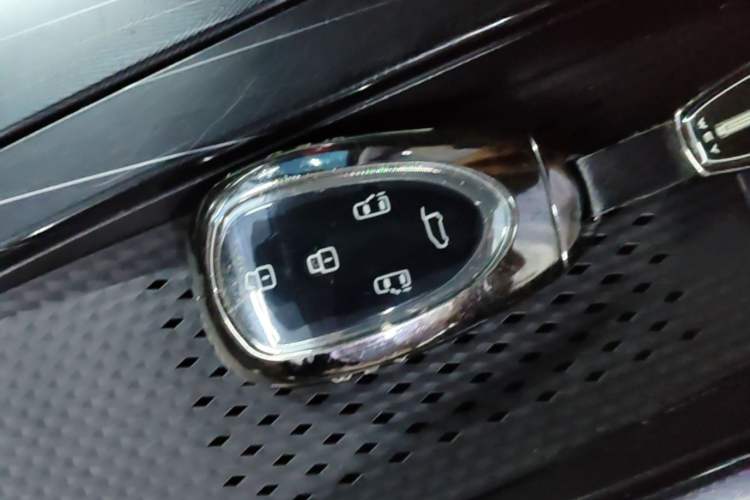 Used Wey Gaoshan 2023 Four-Wheel Drive Flagship Edition Vehicle Key