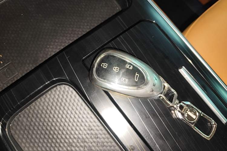 Used Wey Gaoshan 2023 Four-Wheel-Drive Executive Extended Version Vehicle Key