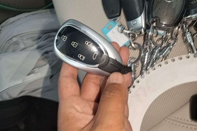 Used Wey Gaoshan 2023 Four-Wheel Drive Flagship Edition Vehicle Key