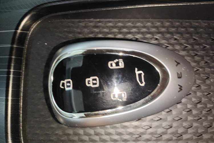 Used Wey Gaoshan 2023 Four-Wheel-Drive Executive Extended Version Vehicle Key