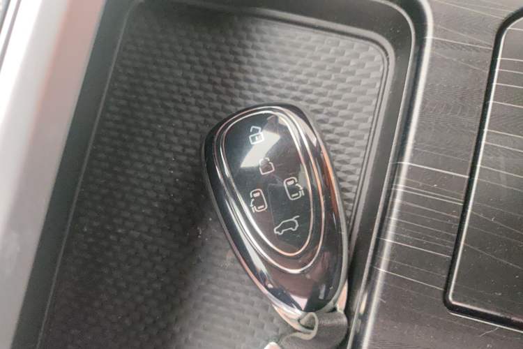Used Wey Gaoshan 2023 Four-Wheel-Drive Executive Extended Version Vehicle Key