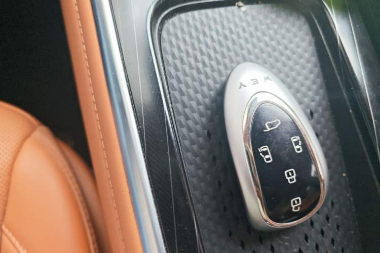 Used Wey Gaoshan 2023 Four-Wheel-Drive Executive Extended Version Vehicle Key