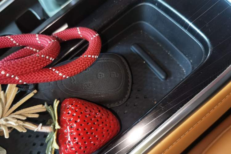 Used Wey Gaoshan 2023 Four-Wheel-Drive Executive Extended Version Vehicle Key