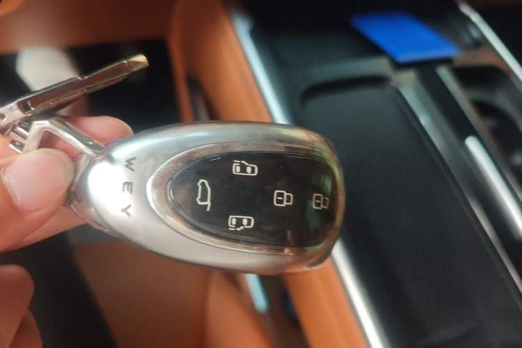 Used Wey Gaoshan 2023 Four-Wheel-Drive Executive Extended Version Vehicle Key