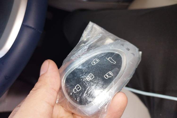 Used Wey Gaoshan 2023 Four-Wheel Drive Flagship Edition Vehicle Key