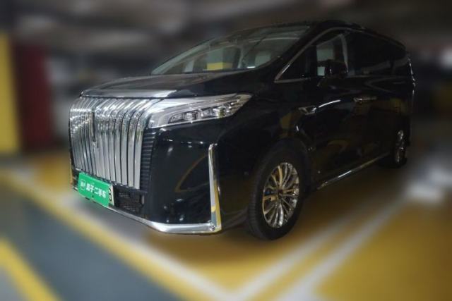 Used Wey Gaoshan 2023 Four-Wheel Drive Flagship Edition
