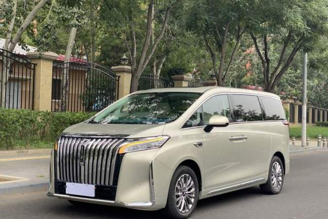 Used Wey Gaoshan 2023 Four-Wheel Drive Flagship Edition
