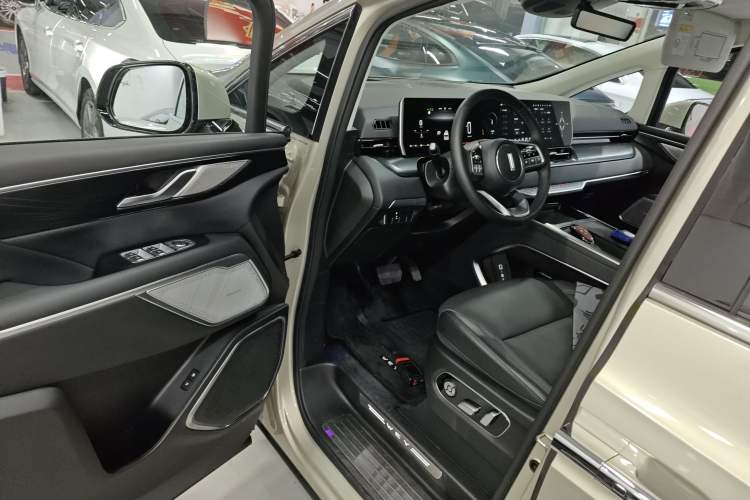 Used Wey Gaoshan 2023 Four-Wheel Drive Flagship Edition Driver Seat