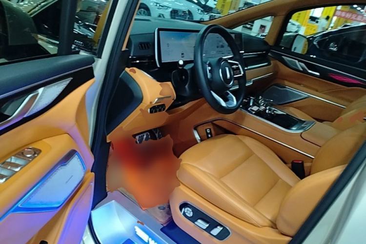 Used Wey Gaoshan 2023 Four-Wheel Drive Flagship Edition Driver Seat