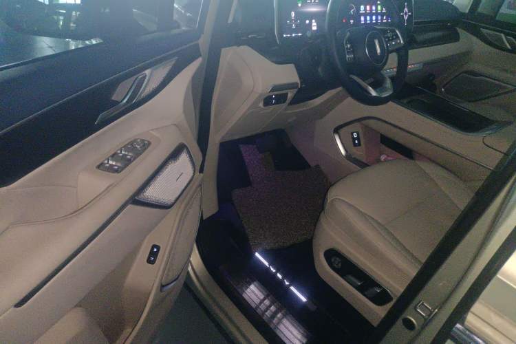 Used Wey Gaoshan 2023 Four-Wheel Drive Flagship Edition Driver Seat