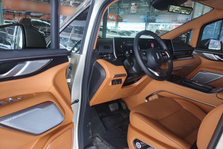 Used Wey Gaoshan 2023 Four-Wheel Drive Flagship Edition Driver Seat