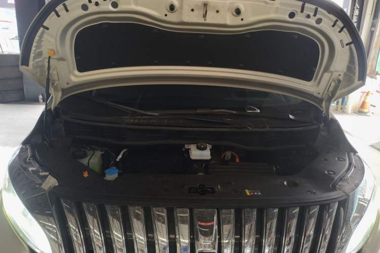 Used Wey Gaoshan 2023 Four-Wheel Drive Flagship Edition Engine Bay
