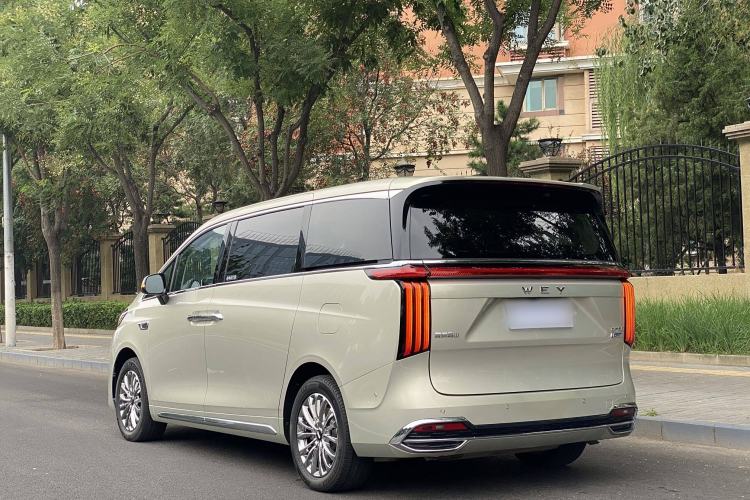 Used Wey Gaoshan 2023 Four-Wheel Drive Flagship Edition Exterior 3