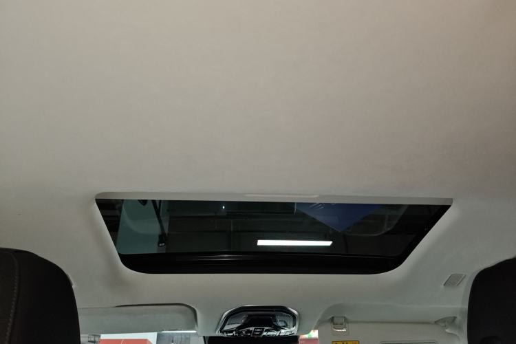 Used Wey Gaoshan 2023 Four-Wheel Drive Flagship Edition Headliner