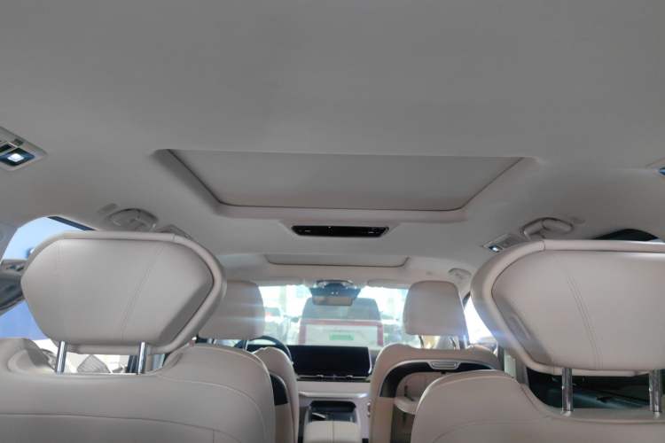 Used Wey Gaoshan 2023 Four-Wheel Drive Flagship Edition Headliner
