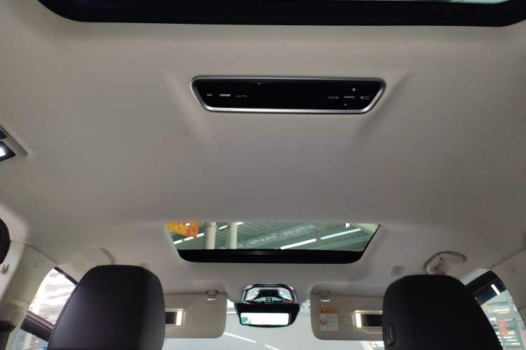 Used Wey Gaoshan 2023 Four-Wheel Drive Flagship Edition Headliner