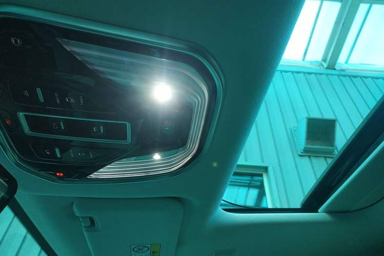 Used Wey Gaoshan 2023 Four-Wheel Drive Flagship Edition Headliner