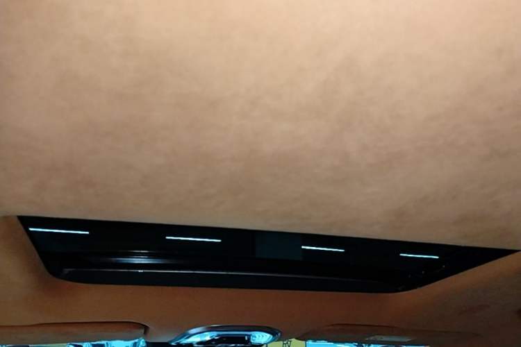 Used Wey Gaoshan 2023 Four-Wheel Drive Flagship Edition Headliner