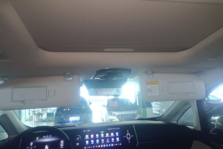 Used Wey Gaoshan 2023 Four-Wheel Drive Flagship Edition Headliner