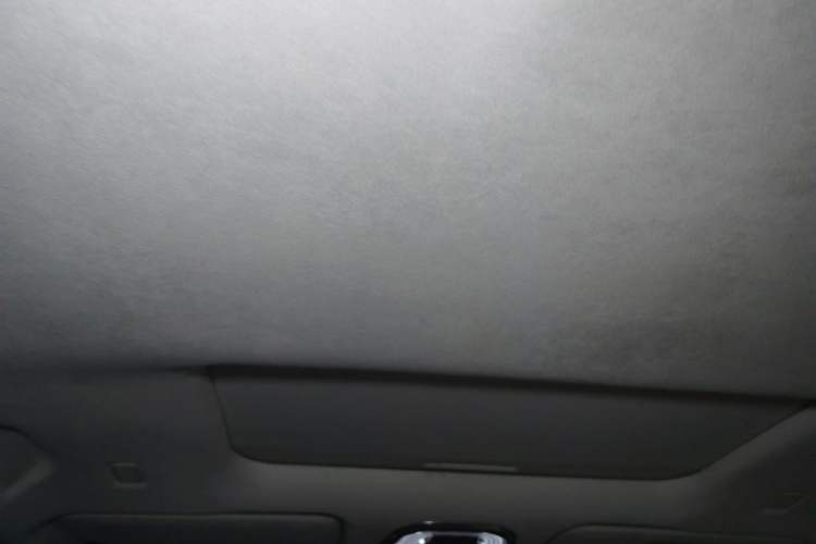 Used Wey Gaoshan 2023 Four-Wheel Drive Flagship Edition Headliner
