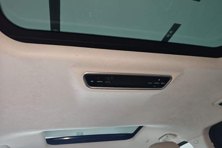 Used Wey Gaoshan 2023 Four-Wheel Drive Flagship Edition Headliner