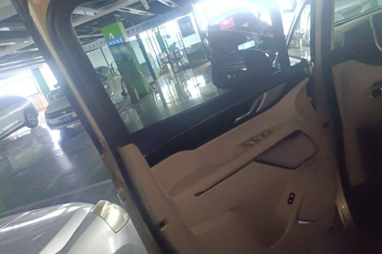 Used Wey Gaoshan 2023 Four-Wheel Drive Flagship Edition Left Front Door Interior
