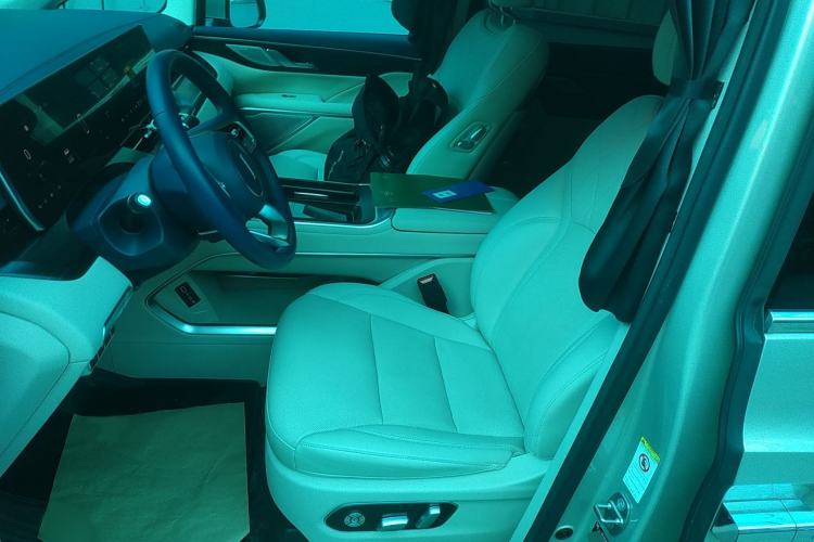 Used Wey Gaoshan 2023 Four-Wheel Drive Flagship Edition Left Front Seat