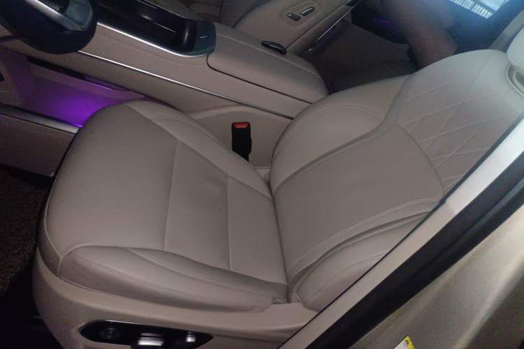 Used Wey Gaoshan 2023 Four-Wheel Drive Flagship Edition Left Front Seat