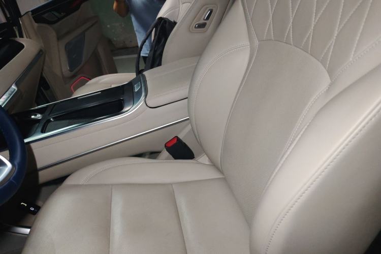 Used Wey Gaoshan 2023 Four-Wheel Drive Flagship Edition Left Front Seat
