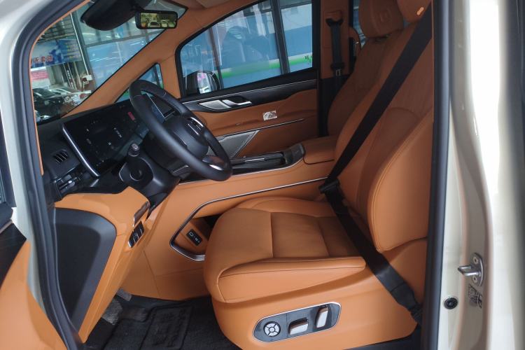 Used Wey Gaoshan 2023 Four-Wheel Drive Flagship Edition Left Front Seat