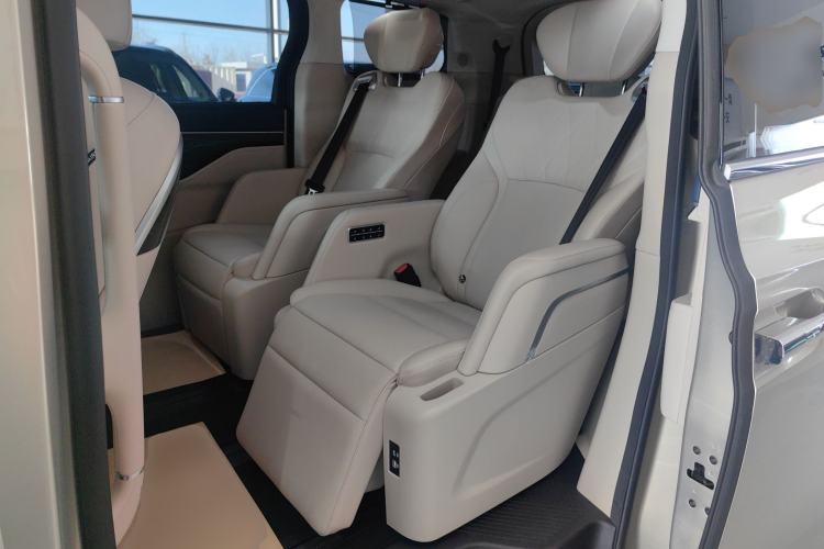 Used Wey Gaoshan 2023 Four-Wheel Drive Flagship Edition Left Rear Seat