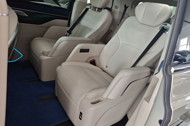 Used Wey Gaoshan 2023 Four-Wheel Drive Flagship Edition Left Rear Seat