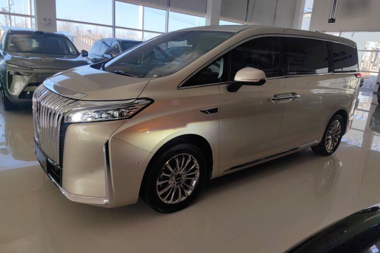 Used Wey Gaoshan 2023 Four-Wheel Drive Flagship Edition Left Side