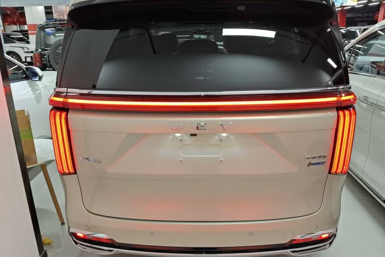 Used Wey Gaoshan 2023 Four-Wheel Drive Flagship Edition Rear