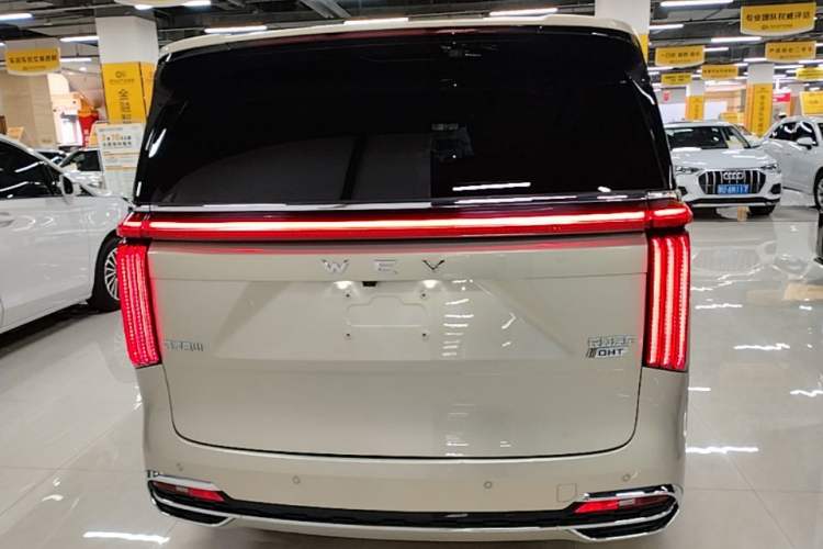 Used Wey Gaoshan 2023 Four-Wheel Drive Flagship Edition Rear
