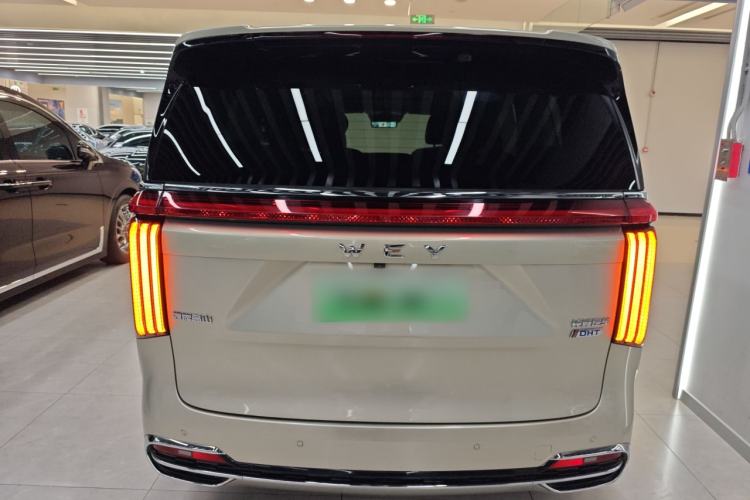 Used Wey Gaoshan 2023 Four-Wheel Drive Flagship Edition Rear