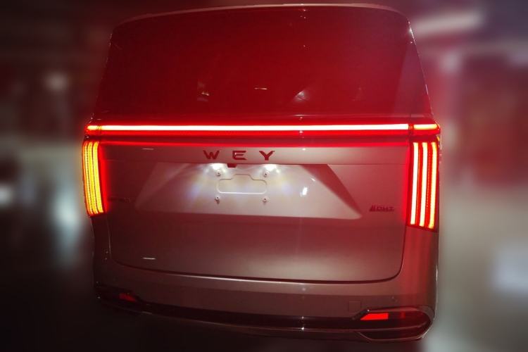 Used Wey Gaoshan 2023 Four-Wheel Drive Flagship Edition Rear