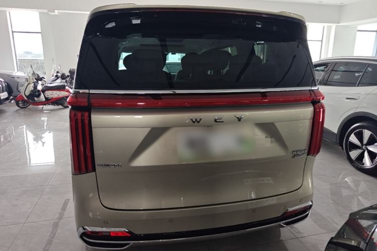 Used Wey Gaoshan 2023 Four-Wheel Drive Flagship Edition Rear