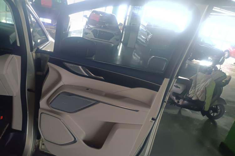 Used Wey Gaoshan 2023 Four-Wheel Drive Flagship Edition Right Front Door Interior