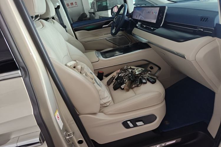 Used Wey Gaoshan 2023 Four-Wheel Drive Flagship Edition Right Front Seat