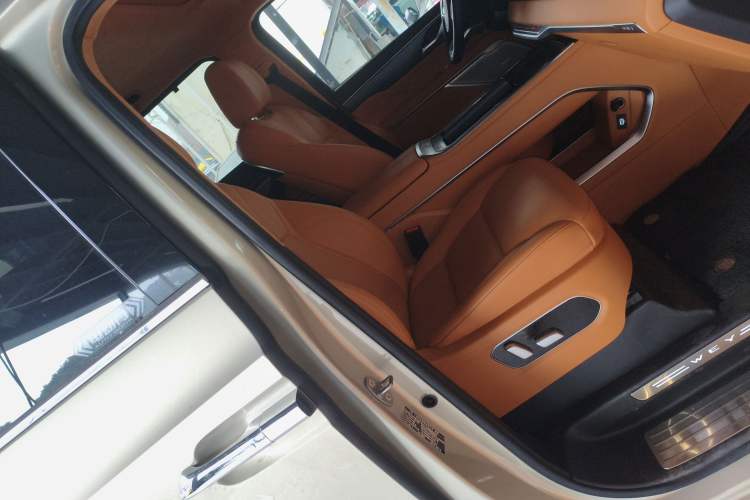Used Wey Gaoshan 2023 Four-Wheel Drive Flagship Edition Right Front Seat