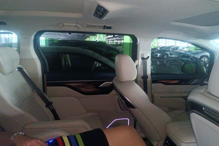 Used Wey Gaoshan 2023 Four-Wheel Drive Flagship Edition Right Rear Door Interior
