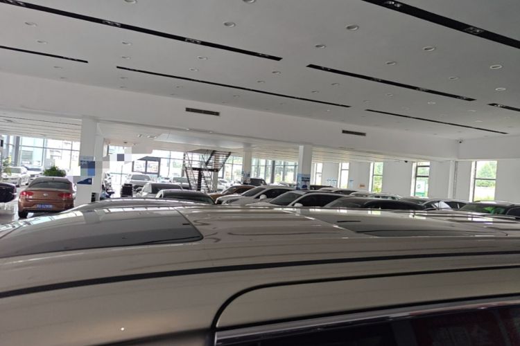 Used Wey Gaoshan 2023 Four-Wheel Drive Flagship Edition Roof
