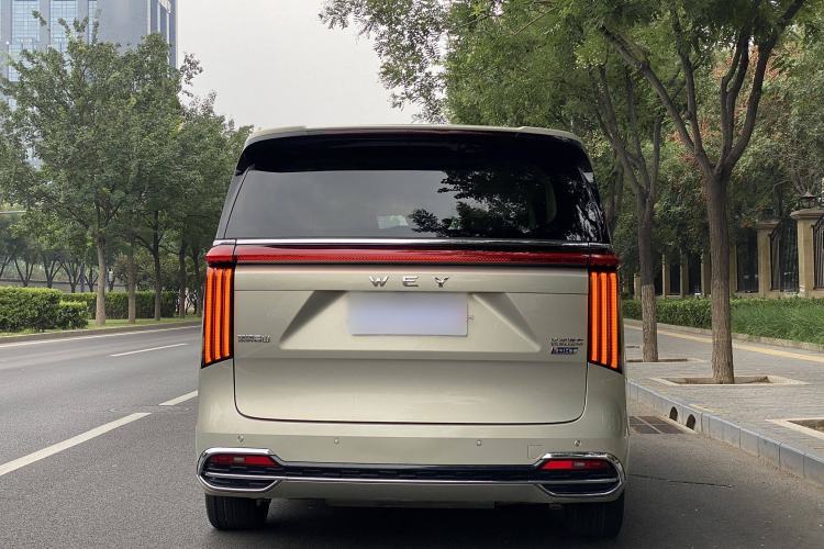 Used Wey Gaoshan 2023 Four-Wheel Drive Flagship Edition Trunk