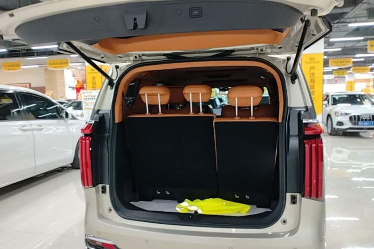Used Wey Gaoshan 2023 Four-Wheel Drive Flagship Edition Trunk