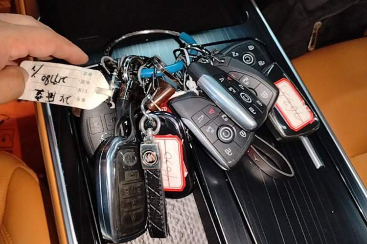 Used Wey Gaoshan 2023 Four-Wheel Drive Flagship Edition Vehicle Key