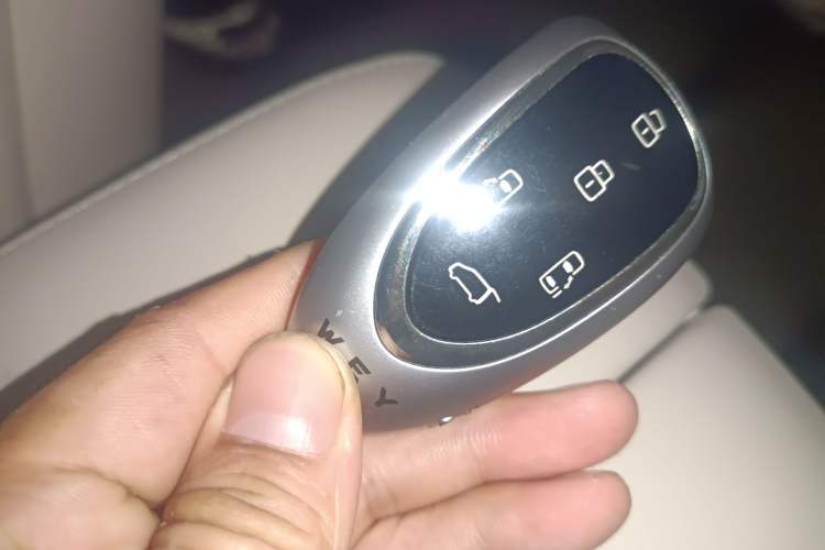 Used Wey Gaoshan 2023 Four-Wheel Drive Flagship Edition Vehicle Key